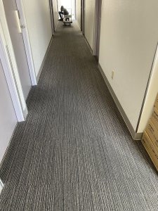 20251027110353.JPG