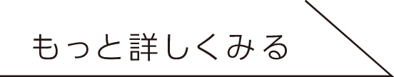 もっと詳しく見る